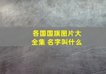 各国国旗图片大全集 名字叫什么